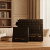 תמונה 1