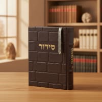 תמונה 1