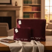 תמונה 1