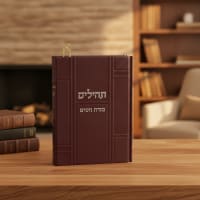 תמונה 1