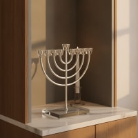 תמונה 1