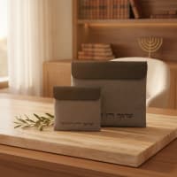 תמונה 1