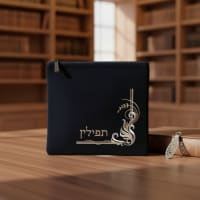 תמונה 1