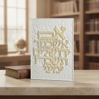 תמונה 1