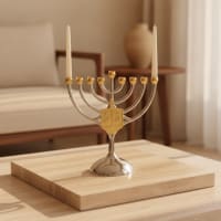 תמונה 1