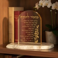 תמונה 1