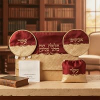 תמונה 1