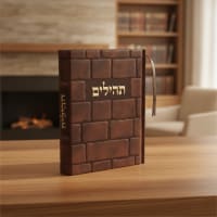 תמונה 1