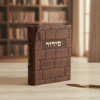 תמונה 1