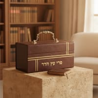 תמונה 1