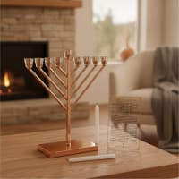 תמונה 1