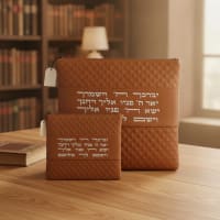 תמונה 1