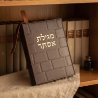 תמונה 1
