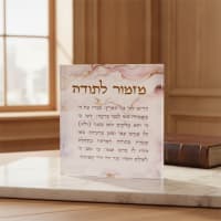 תמונה 1
