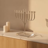 תמונה 1