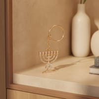 תמונה 1