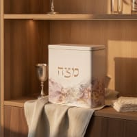 תמונה 1