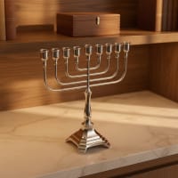 תמונה 1