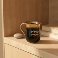 תמונה 1