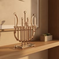 תמונה 1