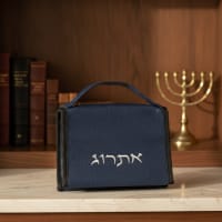 תמונה 1