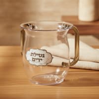 תמונה 1