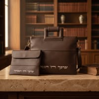 תמונה 1