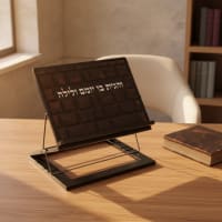 תמונה 1