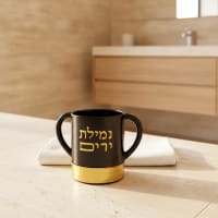 תמונה 1