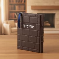 תמונה 1