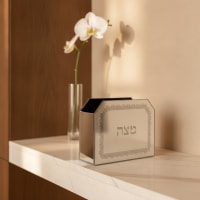 תמונה 1