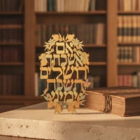 תמונה 1