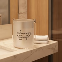 תמונה 1