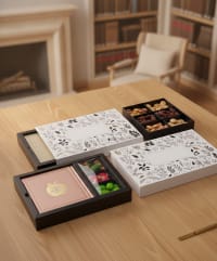 תמונה 1