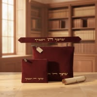 תמונה 1