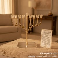 תמונה 1