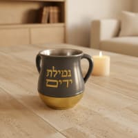 תמונה 1