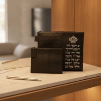 תמונה 1