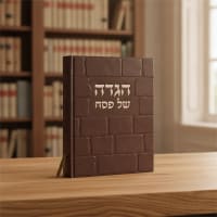 תמונה 1