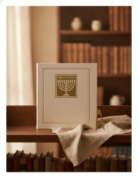 תמונה 1