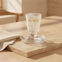תמונה 1