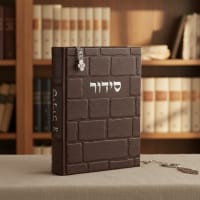 תמונה 1