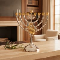 תמונה 1