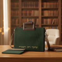 תמונה 1