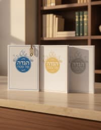 תמונה 1