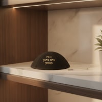 תמונה 1