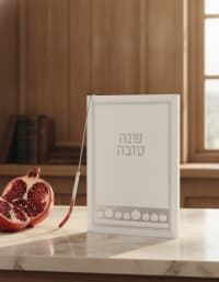 תמונה 1