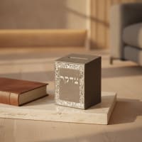 תמונה 1