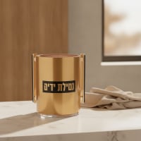 תמונה 1