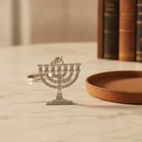 תמונה 1